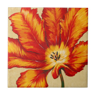 Carreau Tulipe de perroquet II