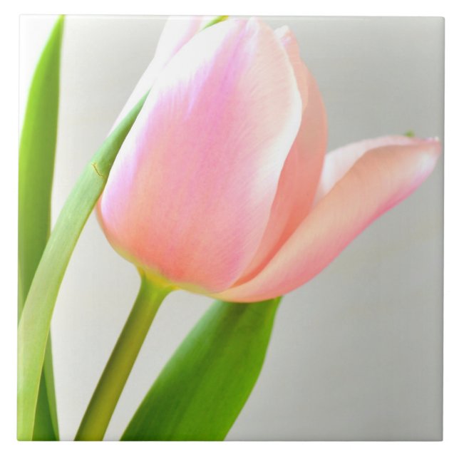 Carreau Tulipe lumineuse (Devant)