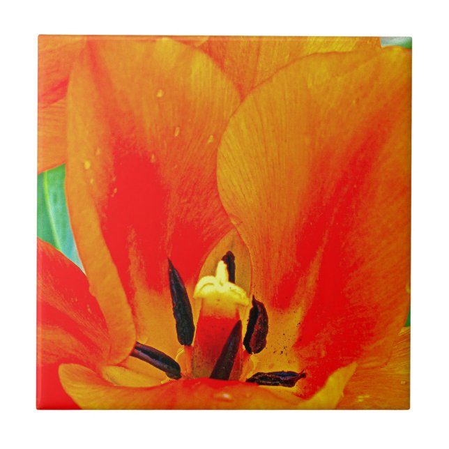 Carreau Tulipe orange (Devant)