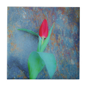 Carreau Tulipe rouge sur ardoise gris bleu