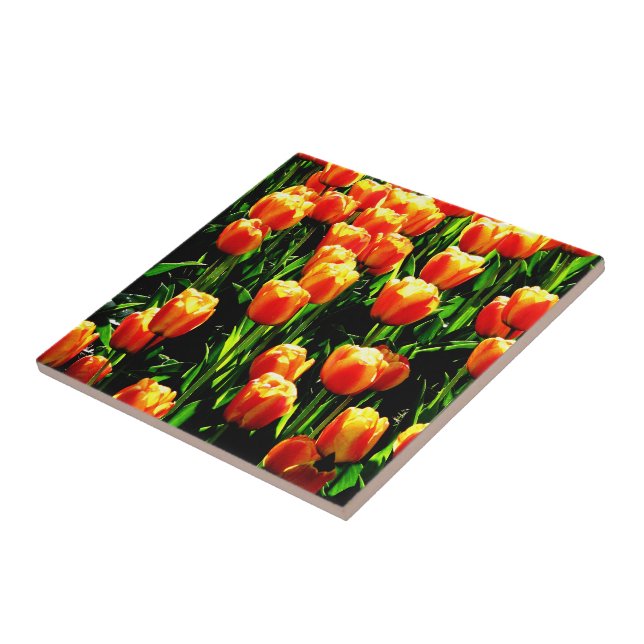 Carreau Tulipes de soleil (Côté)