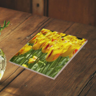 Carreau Tulipes Jaunes aux rayures rouges Florales