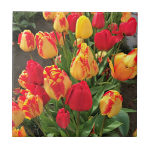 Carreau Tulipes jaunes et rouges
