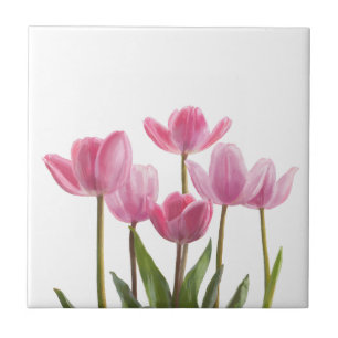 Carreau Tulipes roses