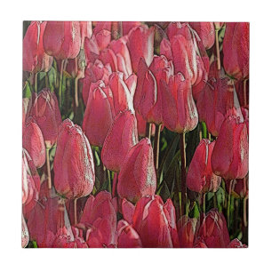 Carreau Tulipes roses florales