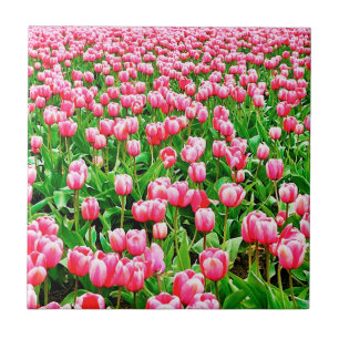 Carreau Tulips
