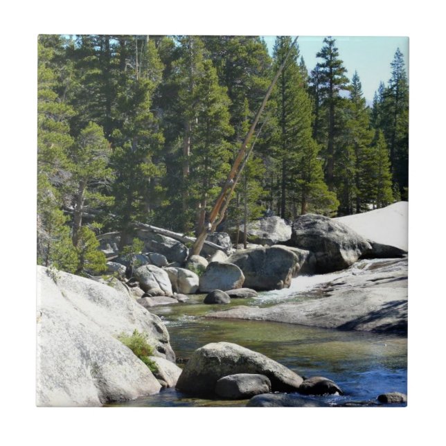 Carreau Tuolumne River à Tuolumne Meadows, Yosemite, CA (Devant)