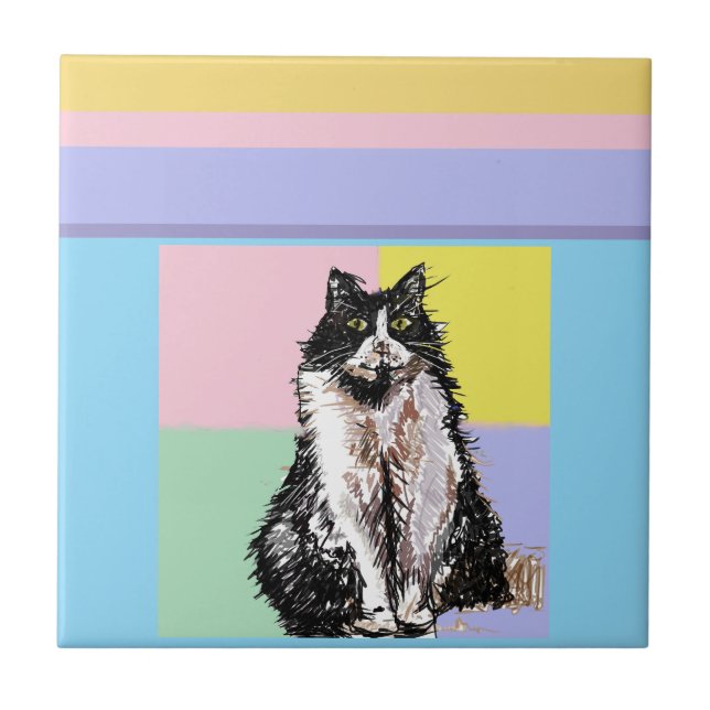 Carreau Tuxedo Chat Pastel Couleurs Rose Girls Nom (Devant)