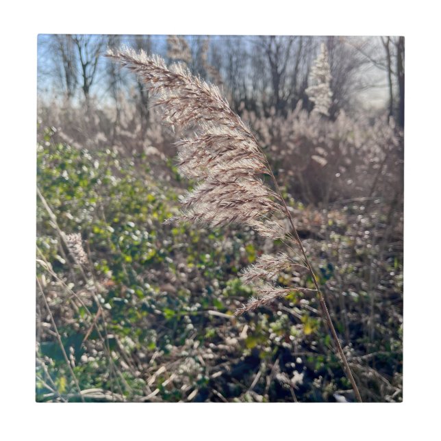 Carreau Un bonheur d'automne... (Devant)