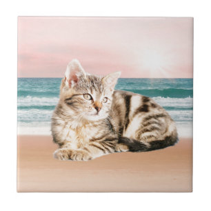 Carreau Un chat rayé plus mignon assis sur la plage au cou