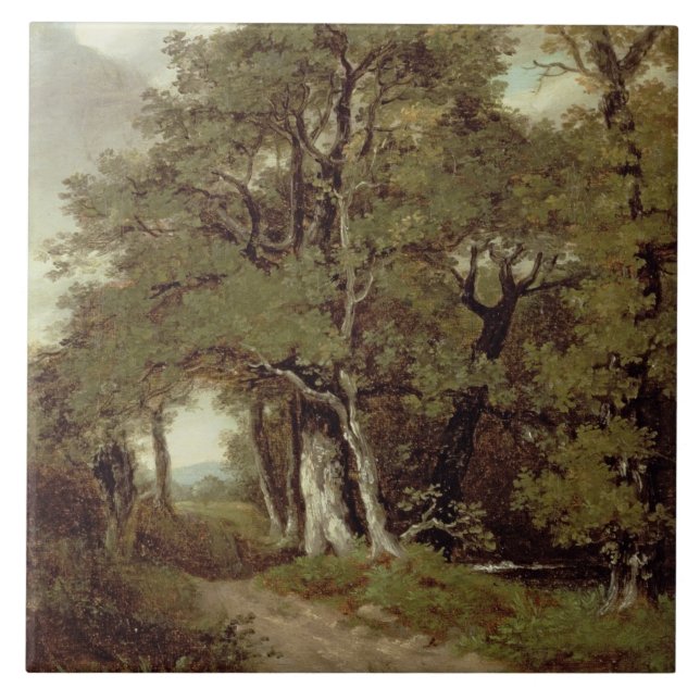 Carreau Un chemin boisé (Devant)