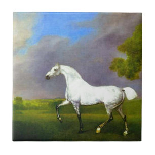 Carreau Un cheval gris par George Stubbs