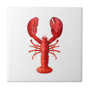 Carreau Un crustacé de homard rouge sur blanc