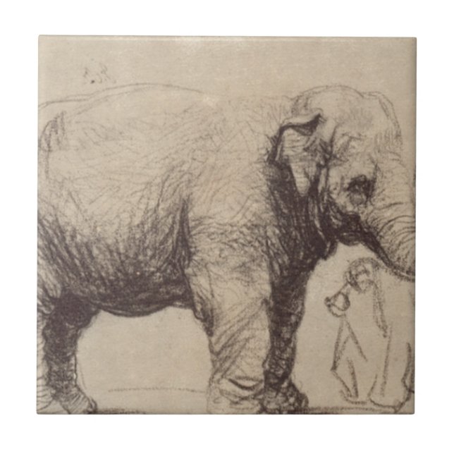 Carreau Un éléphant par Rembrandt (Devant)