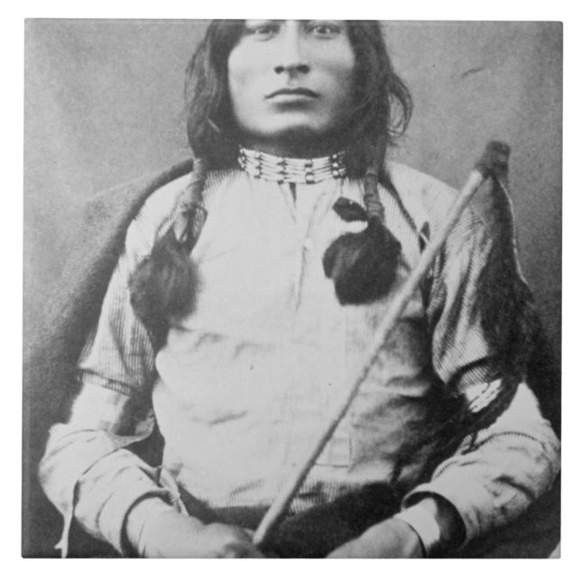 Carreau Un guerrier de Taureau, 1882 (photo de b/w) (Devant)