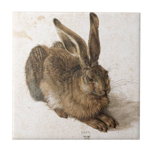 Carreau Un jeune lièvre par Albrecht Durer (Devant)