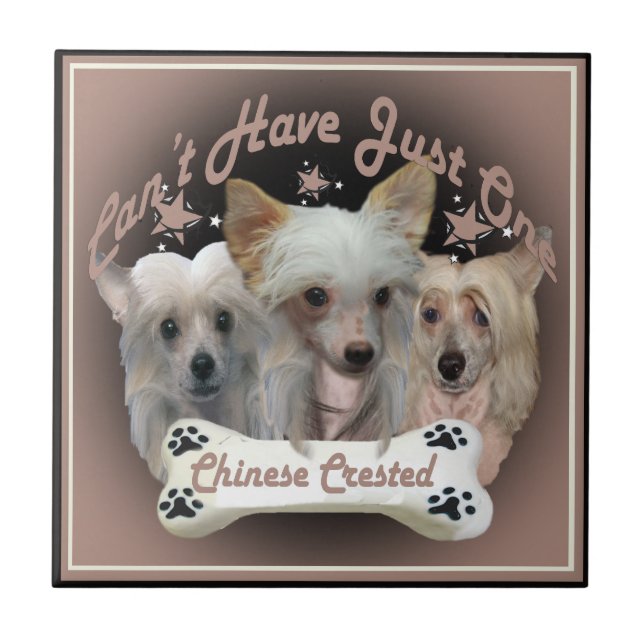 Carreau Un seul carrelage pour les Chinois arrêtés (Devant)