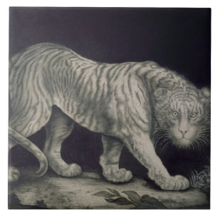 Carreau Un tigre de vagabondage (crayon sur le papier)