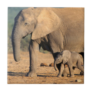Carreau Une mère éléphant d'Afrique et son petit en mouvem
