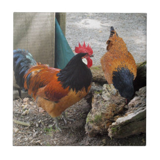 Carreau Une paire de poulets Vorwerk, coq et mangeur de po