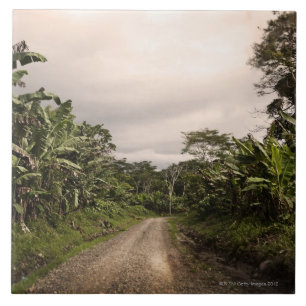 Carreau Une route à distance de jungle
