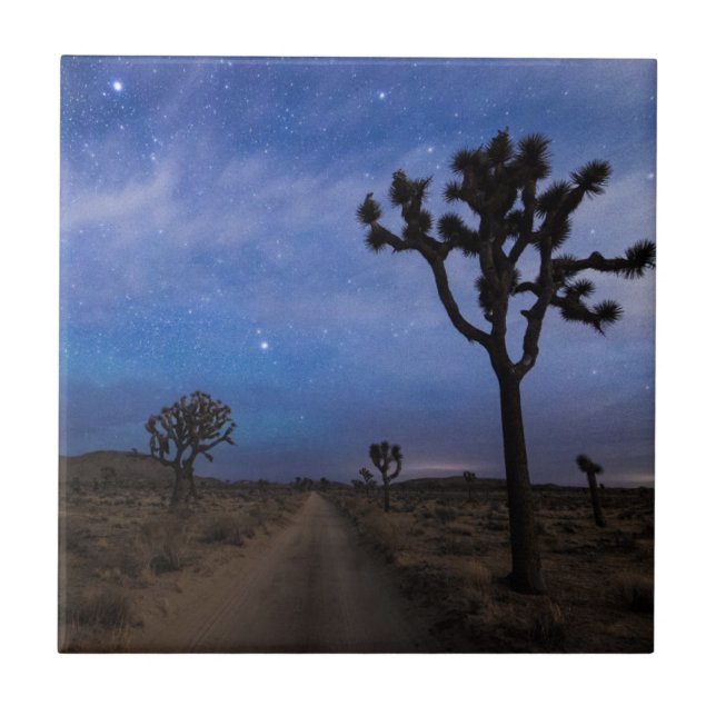 Carreau Une route du désert et des arbres Joshua à la nuit (Devant)