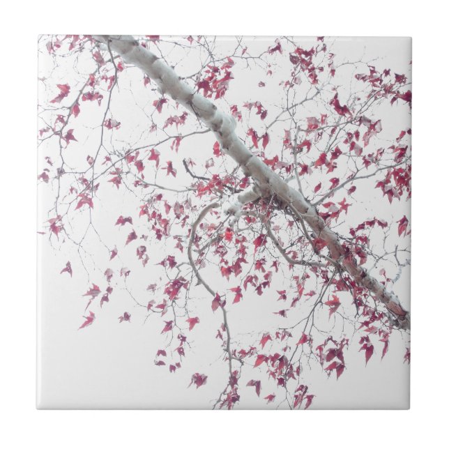 Carreau Une touche de feuille rose (Devant)