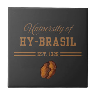 Carreau Université de Hy-Brasil, Ét. 1325
