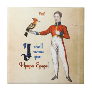 Carreau Upupa Epops