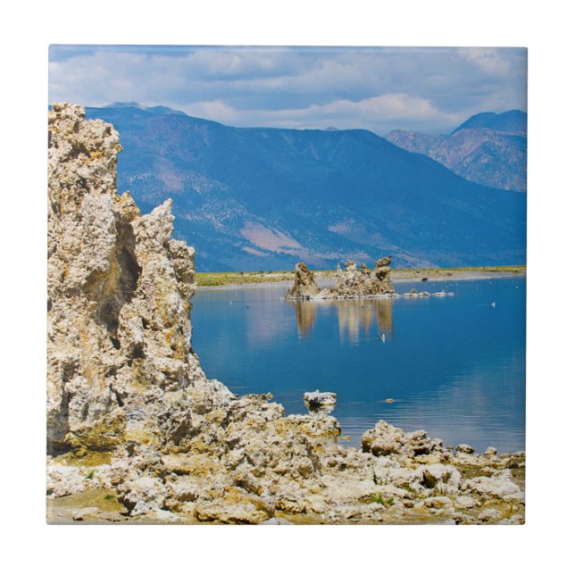 Carreau USA, Californie, Mono Lake South Tufa Reserve (Devant)