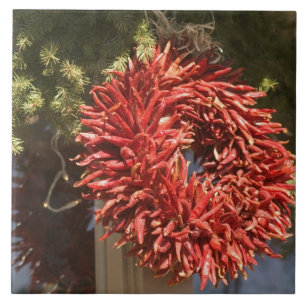 Carreau USA, Nouveau Mexique, Père Noël Fe : Centre-ville 