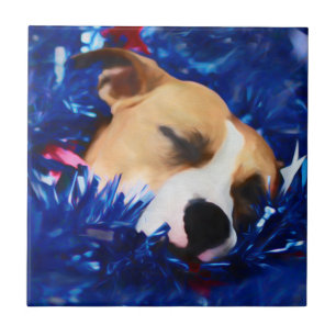 Carreau USA Patriotique Chien American Pit Bull Terrier