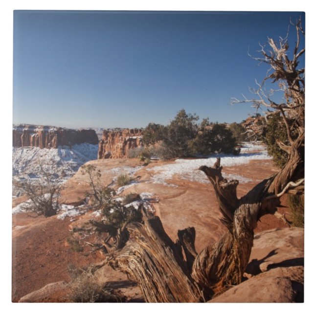 Carreau USA, Utah, Moab. Parc national des Canyonlands (Devant)