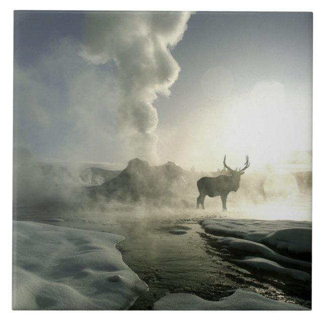 Carreau USA, Wyoming, Parc National de Yellowstone. Soleil (Devant)