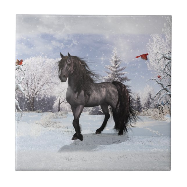 Carreau Vacances d'hiver 2024 Cheval friésien (Devant)