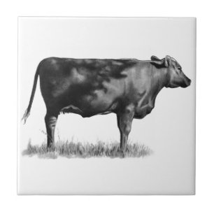 Carreau Vache de boucherie/génisse au crayon : Réalisme :