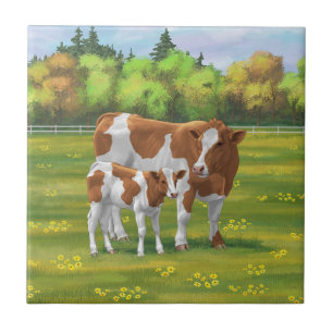 Carreau Vache de Guernesey et veau mignon dans les pâturag