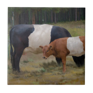 Carreau Vache et veau ceinturés avec la texture