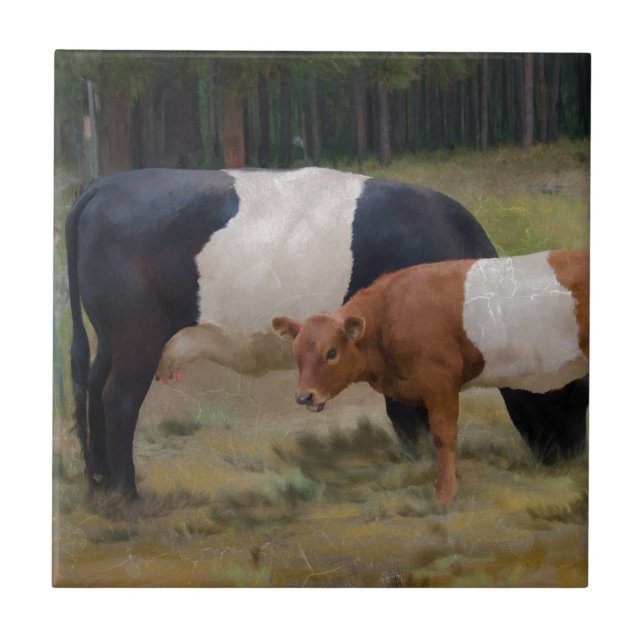 Carreau Vache et veau ceinturés avec la texture (Devant)