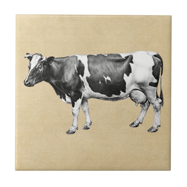 Carreau Vache laitière Sepia (Devant)