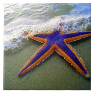 Carreau Vague de mer de Sable Tropical de Starfish