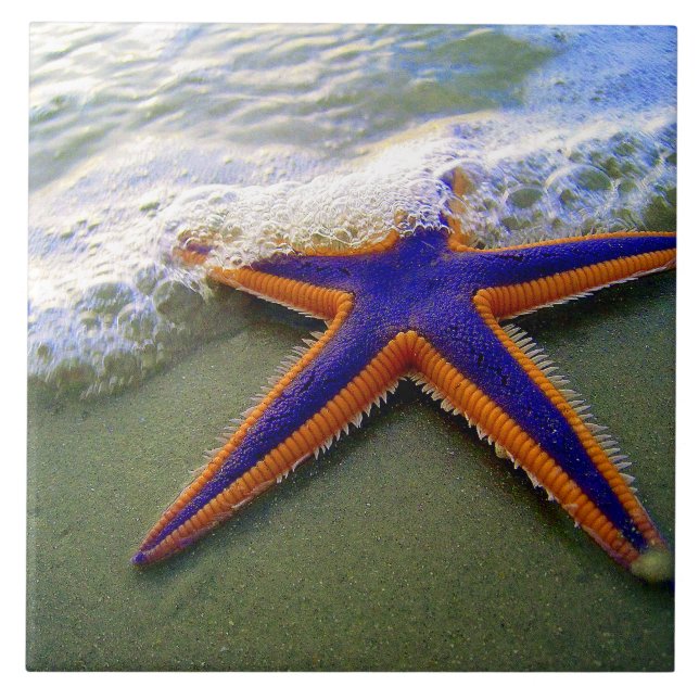 Carreau Vague de mer de Sable Tropical de Starfish (Devant)