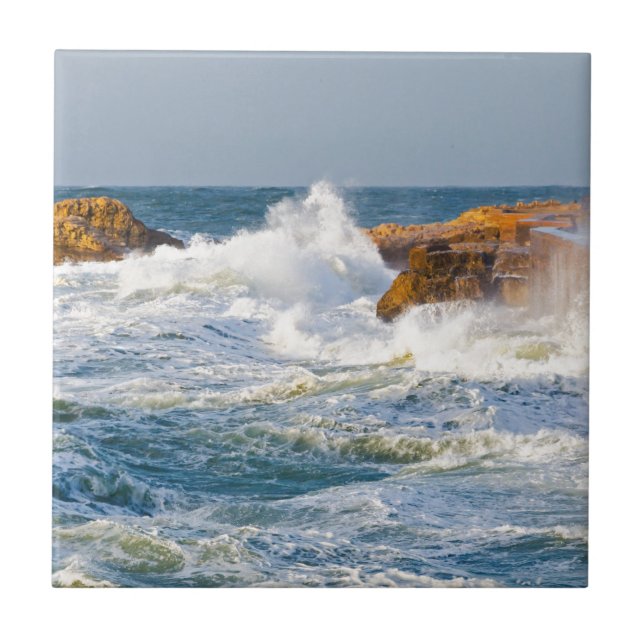 Carreau Vagues de mer (Devant)