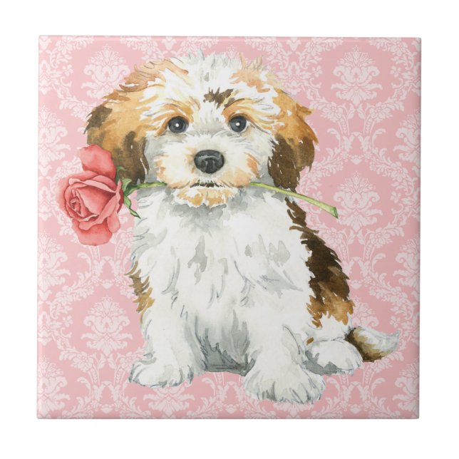 Carreau Valentine Havanese rose (Devant)