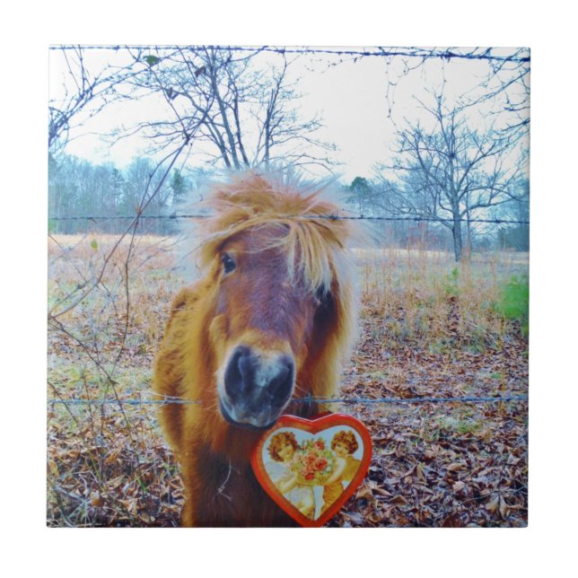 Carreau Valentine Heart Horse (Devant)