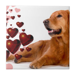 Carreau Valentine Red Hearts Golden Retriever Chien