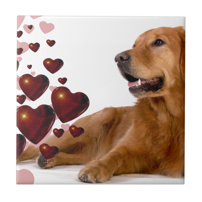 Carreau Valentine Red Hearts Golden Retriever Chien (Devant)