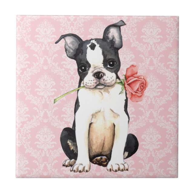 Carreau Valentine Rose Boston Terrier (Devant)