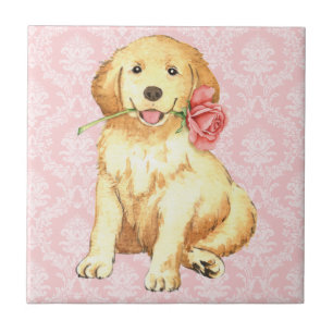 Carreau Valentine Rose Golden Retriever