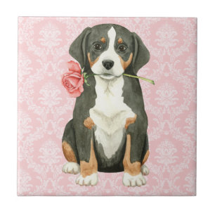 Carreau Valentine Rose Grand Chien de montagne suisse